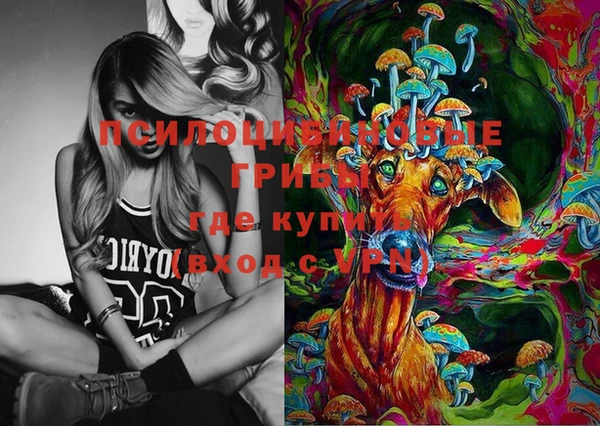 гидропоника Вяземский