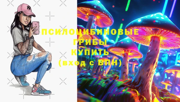 хмурый Вязьма