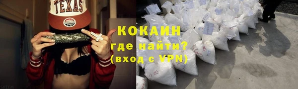 шишки Горно-Алтайск