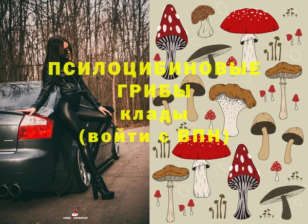 мяу мяу мука Вязники