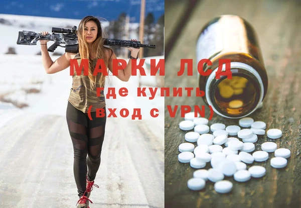 шишки Тавда