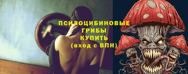 гидропоника Вяземский