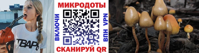 Галлюциногенные грибы Psilocybine cubensis купить цена Очёр